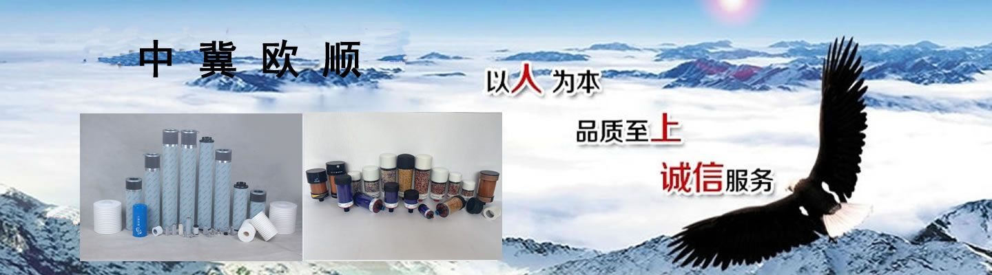 風(fēng)電齒輪箱濾芯廠家